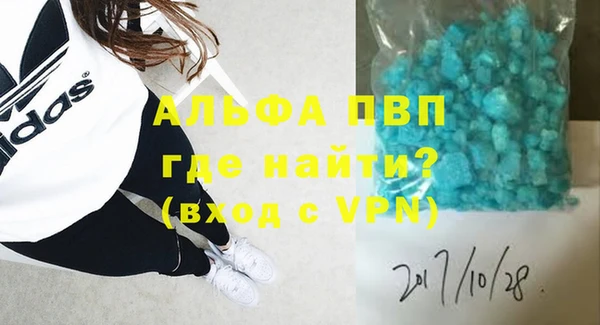 сатива Новодвинск