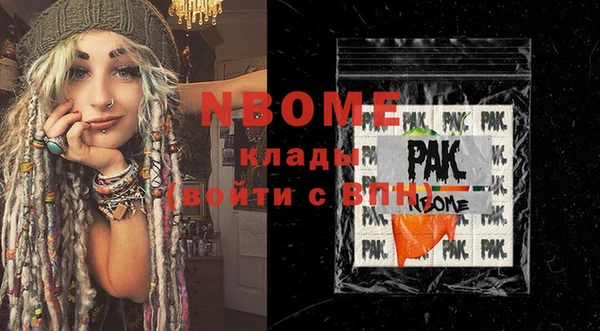сатива Новодвинск