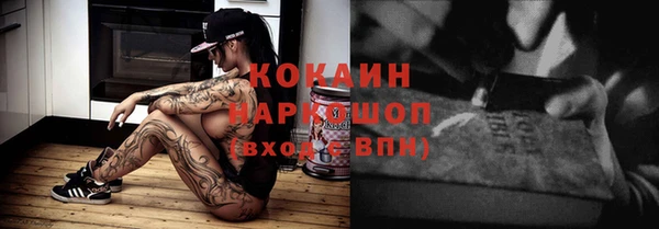 сатива Новодвинск