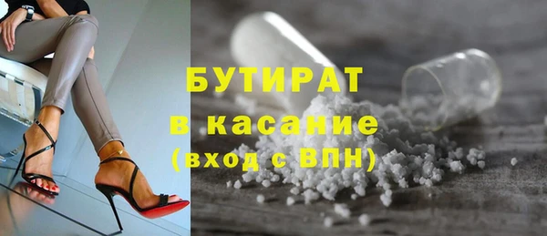 сатива Новодвинск