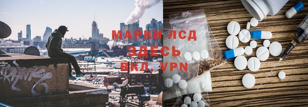 сатива Новодвинск