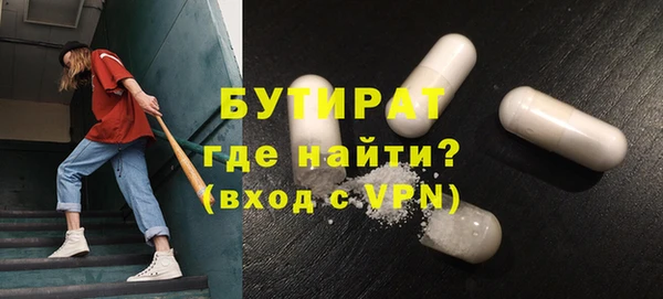 сатива Новодвинск
