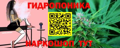 винт Канаш