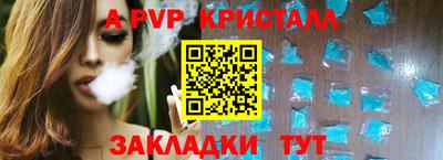 стафф Камышлов