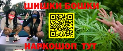 винт Канаш