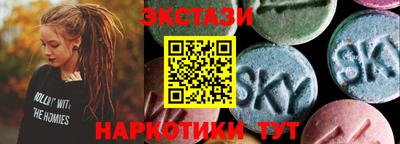 стафф Камышлов