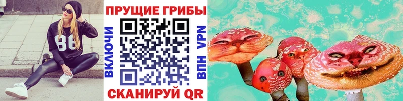 МЕГА зеркало  Истра  Галлюциногенные грибы ЛСД 