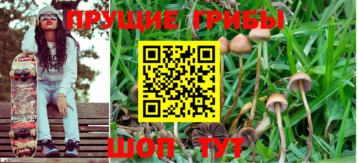Истра  Псилоцибиновые грибы мухоморы  Вход с VPN 